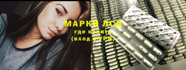 бошки Елабуга