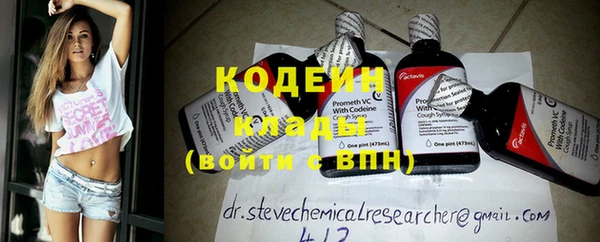 бошки Елабуга