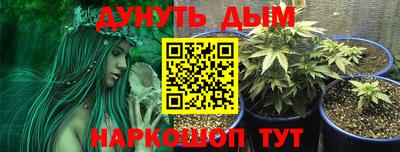 mdpv Моздок