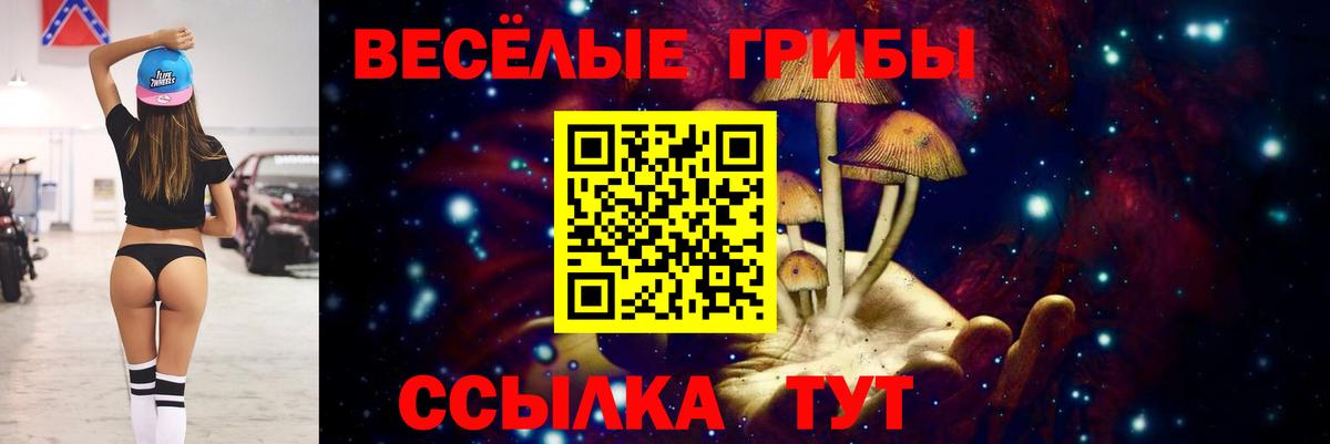 Галлюциногенные грибы Magic Shrooms  купить  сайты  Псилоцибиновые грибы Psilocybe  Кашира  Вход с VPN 